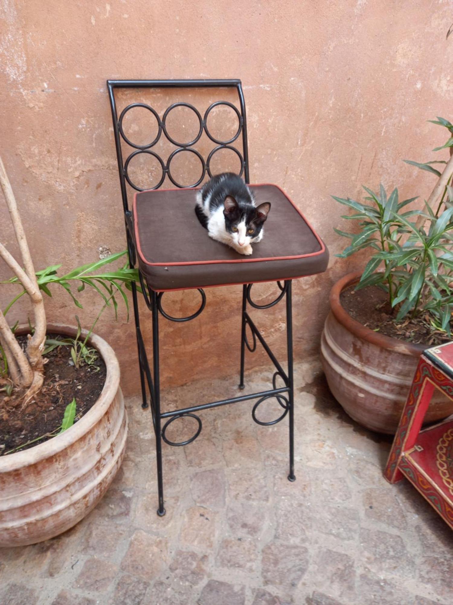Juli'S Bed & Breakfast Marrakesh Exterior photo