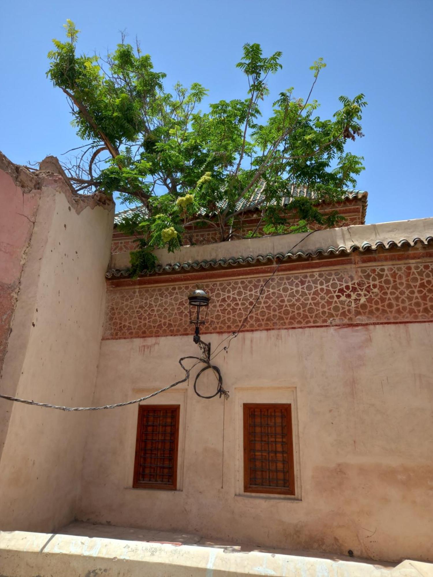 Juli'S Bed & Breakfast Marrakesh Exterior photo