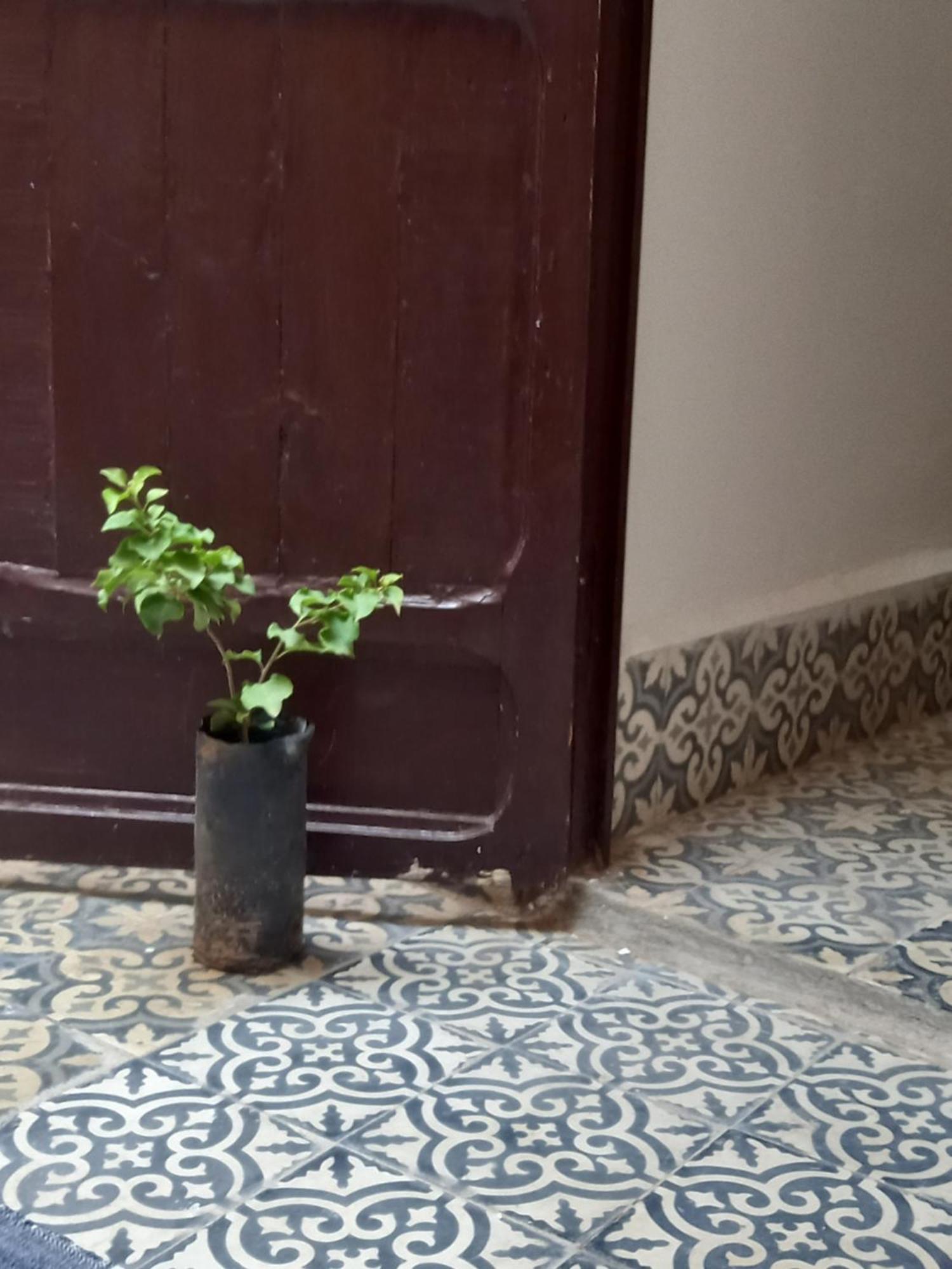 Juli'S Bed & Breakfast Marrakesh Exterior photo